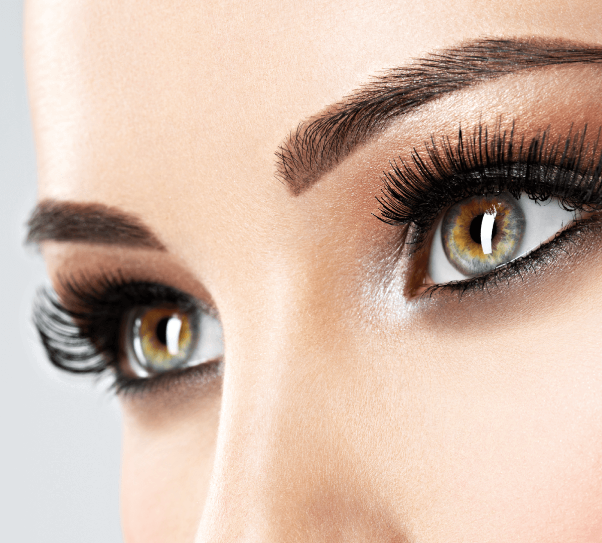 Le fonctionnement de l'oeil